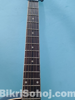 TGM guitar